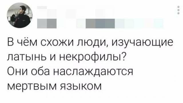 Картинок вам в серые трудовыебудни