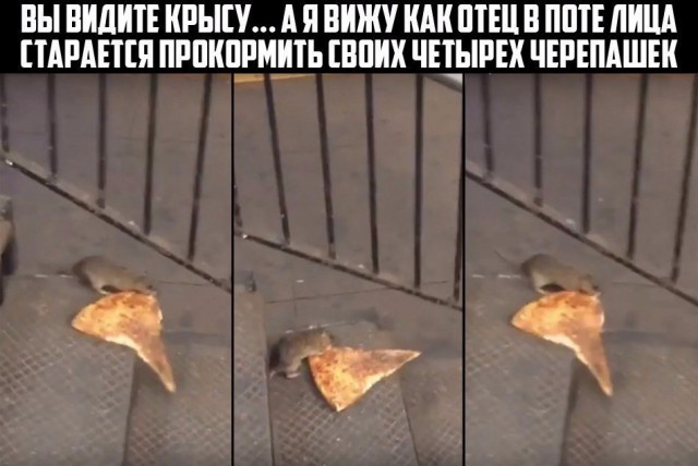 Картинки разные, возможны баяны