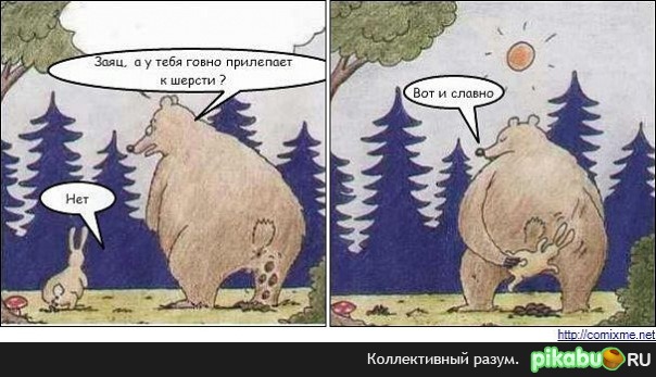 Медведь чешет **опу в камчатском лесу. Спасибо за внимание