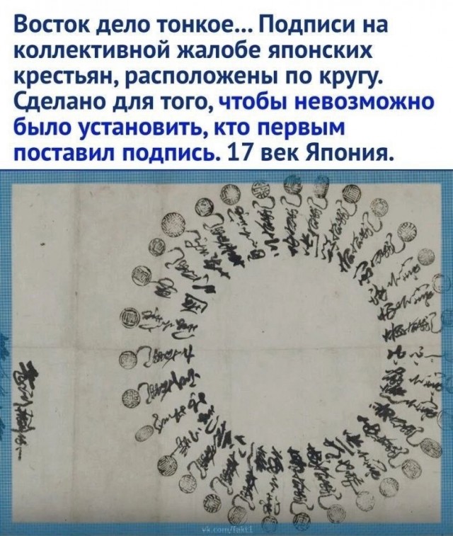 Так себе картинки 07.07.24