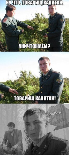 Куда пропал гашиш?