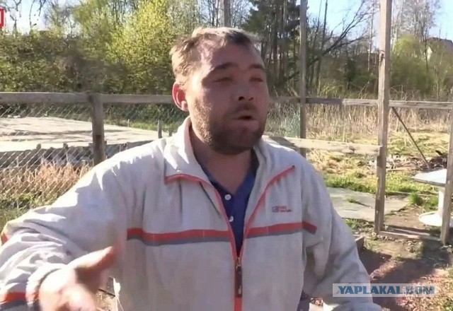 Совет директоров "Газпрома" рекомендовал не платить дивиденды за 2024 год