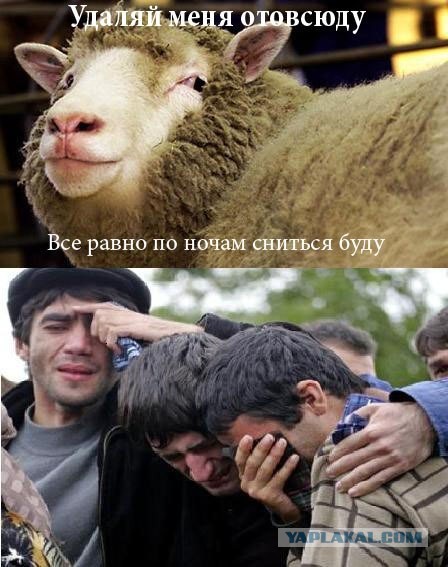 Среди итальянок, как и среди француженок, распространилась мода на ручных свинок.