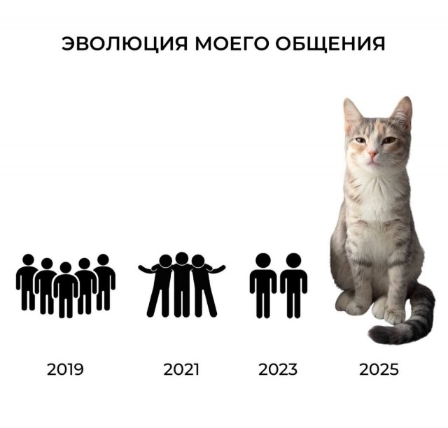 К котовторнику: подборка картинок-баянов с котиками и про котиков. Выпуск 13