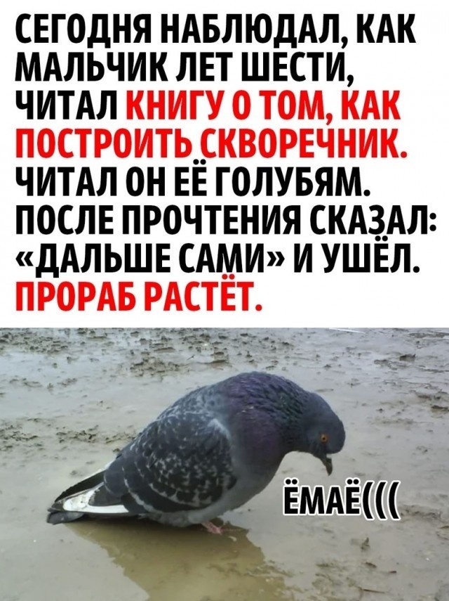 Так себе картинки 18.08.25