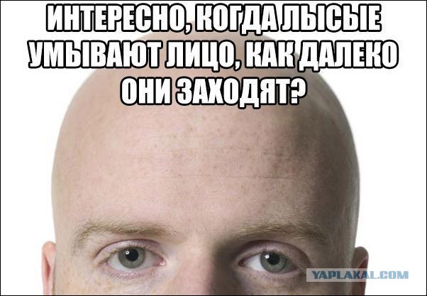 Веселые картинки в маленькую пятницу (24.09)