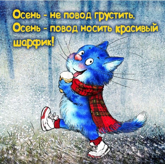 Прикольные и просто красивые картинки 07.11.2025