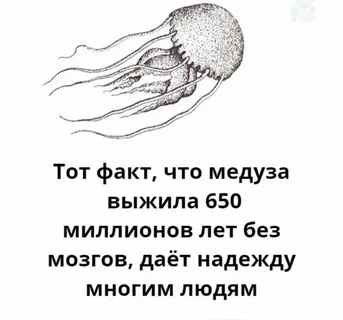 «Мисс Вселенной-2025» стала Фатима Бош из Мексики, которую организатор конкурса называл «тупицей»
