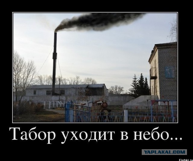 Цыгане разводили на выплаты участников СВО и вот что из этого вышло.