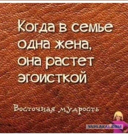 В сети рассказали, почему перед рождением первого ребёнка лучше всего заводить не собаку