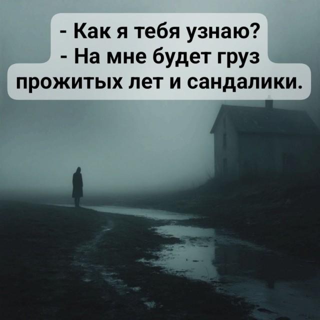 Веселых картинок вам в ленту