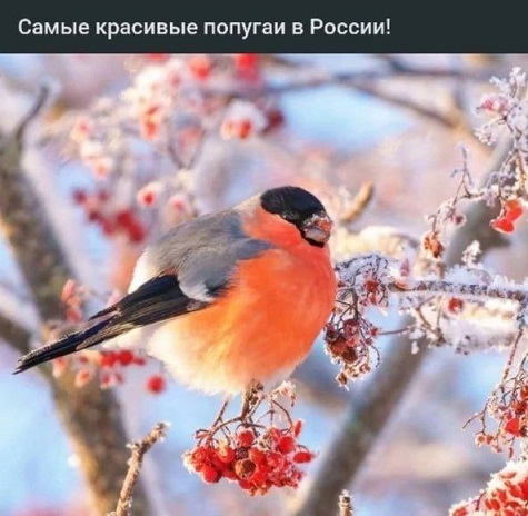 Жизнь на острове