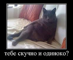 Прайс-лист проститутки.