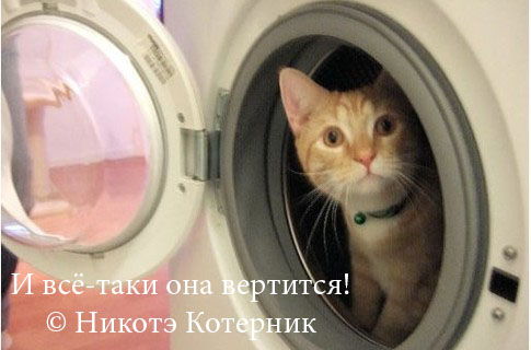 Весёлые картинки. Разбавим будни