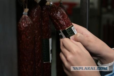 Лучшая рыба - это колбаса ))