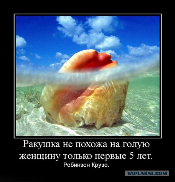 Демотиваторы.