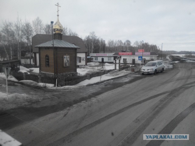 Озеленение Владивостока.