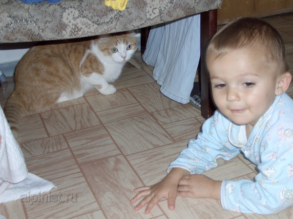 Котовторник 01.04.2014