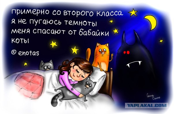 «Порошки» в картинках. Лаконичный юмор