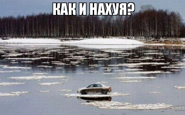 Веселые картинки № х/з