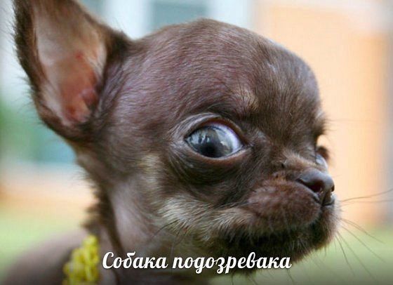 Позитивные картинки и комментарии.