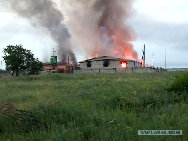 Бой на погранзаставе Дьяково оказался успешным