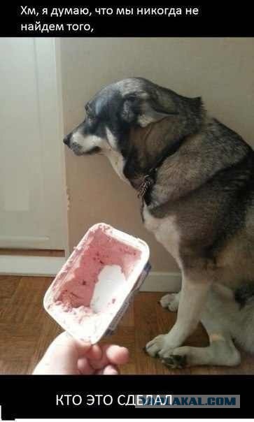 Где деньги?