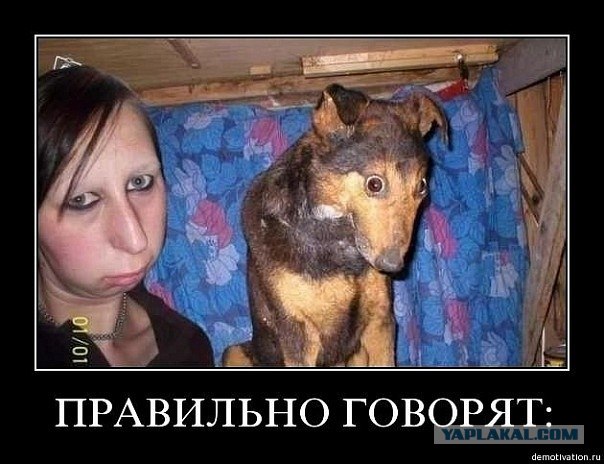 Звери - люди