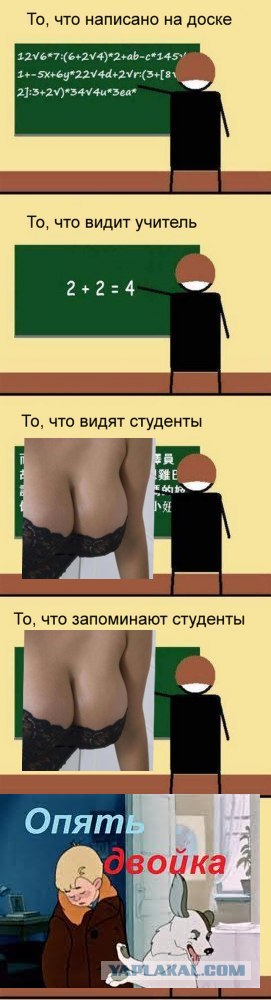 А в это время сессия...