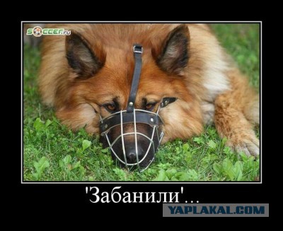 Поднимаем настроение