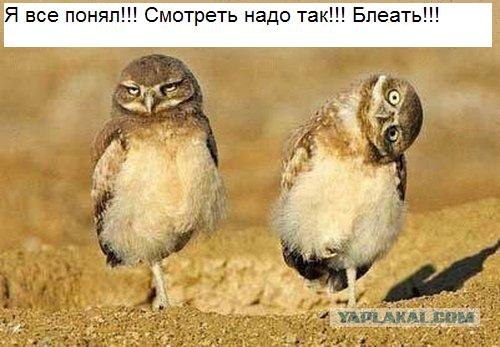Захватывающая гонка подводных лодок!
