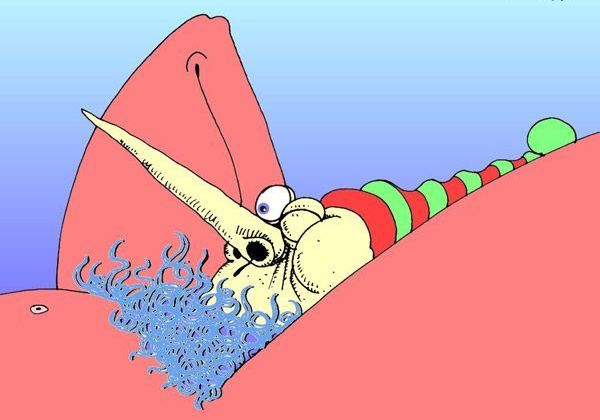 Головоломка