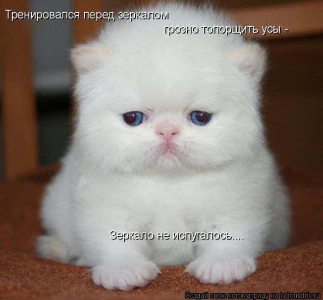 Всё - тлен
