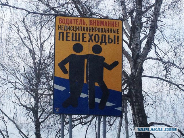 Как получилось ЭТО продать за 43,8 млн долларов?