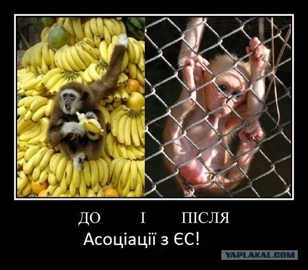 Генштаб Украины озвучил зарплату участников АТО