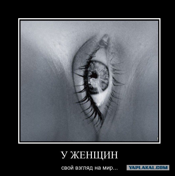 "Дикая Леди" продолжение