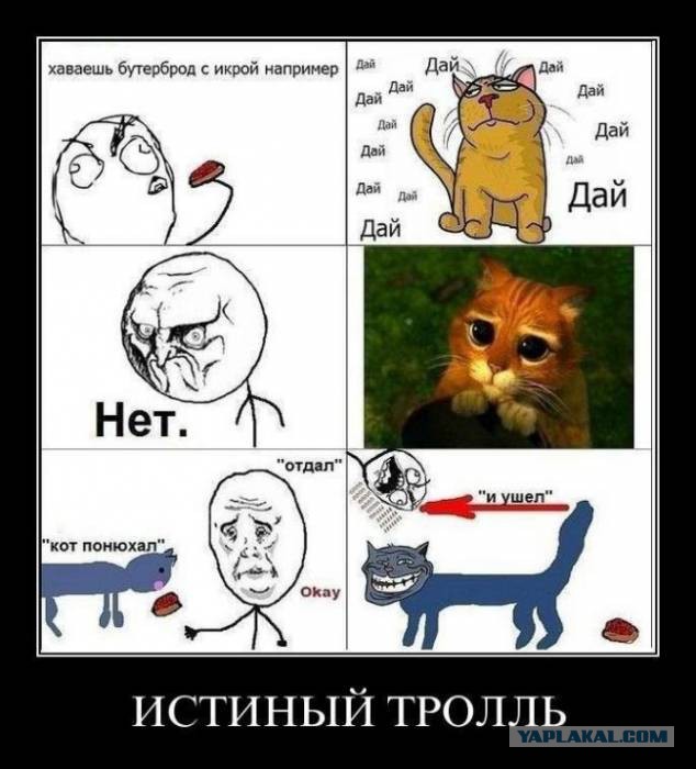 41 веселая картинка