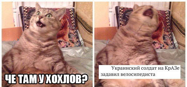Картинки на злободневные темы