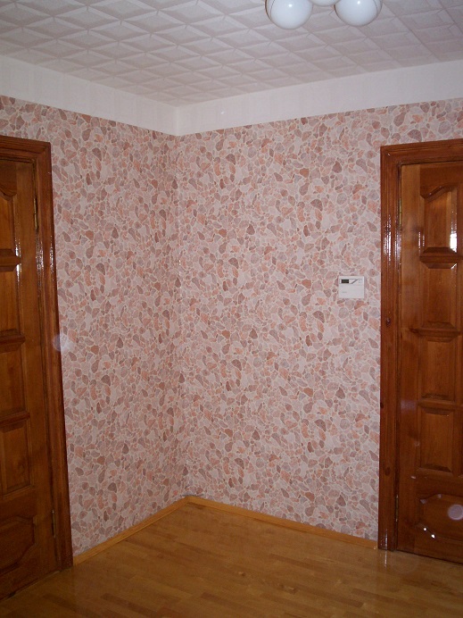 Дневник московского гастарбайтера