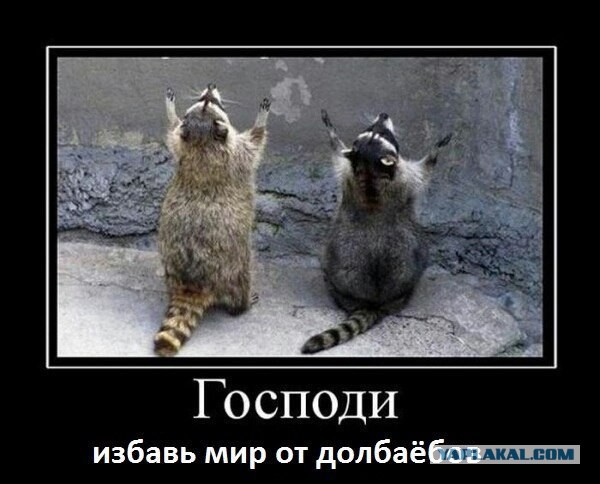 Немного картинок на воскресенье