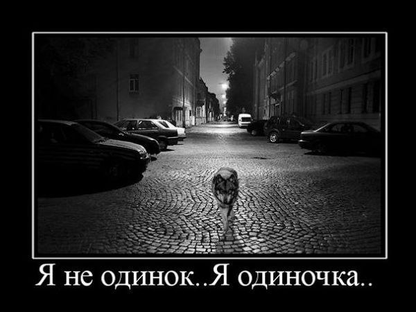 Картинки и демотиваторы