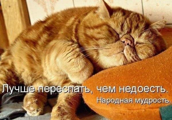 А давайте улыбнёмся В Новом Году