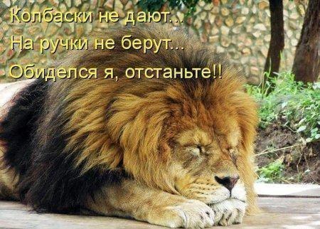 Картинки разные