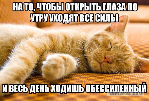 Картиночки из этих...ваших.....