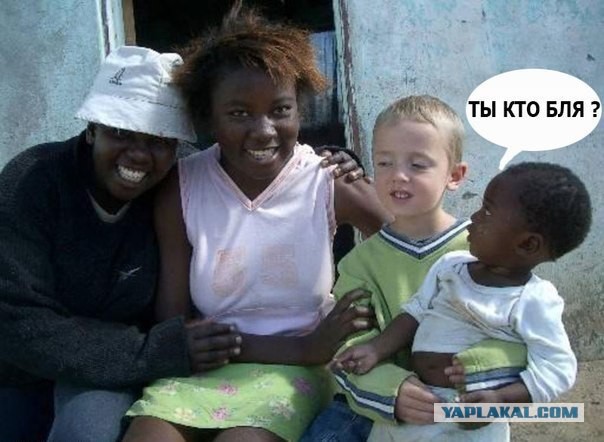 Просто 30 картинок из тырнета