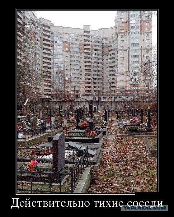 Небольшая подборка демотиваторов