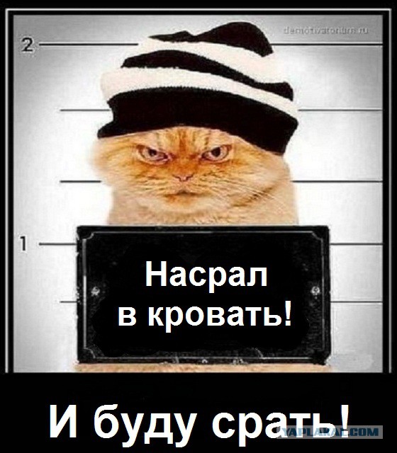 Жестокая месть.....
