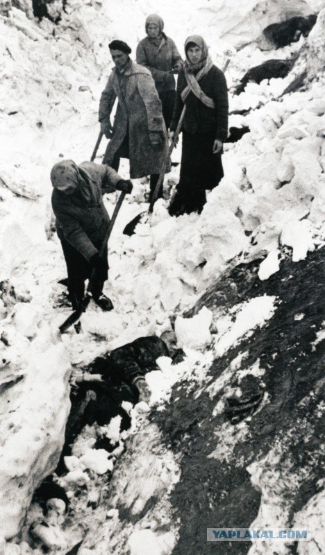 Про "зверства" советских освободителей в Европе….