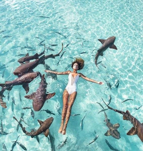 Интересные и веселые картинки