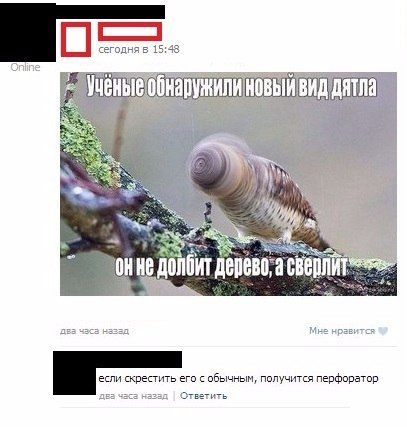 Случайные картинки